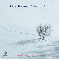 Cover of Solo for Trio