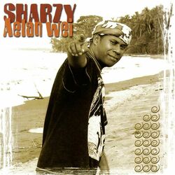 Cover of Aelan Wei
