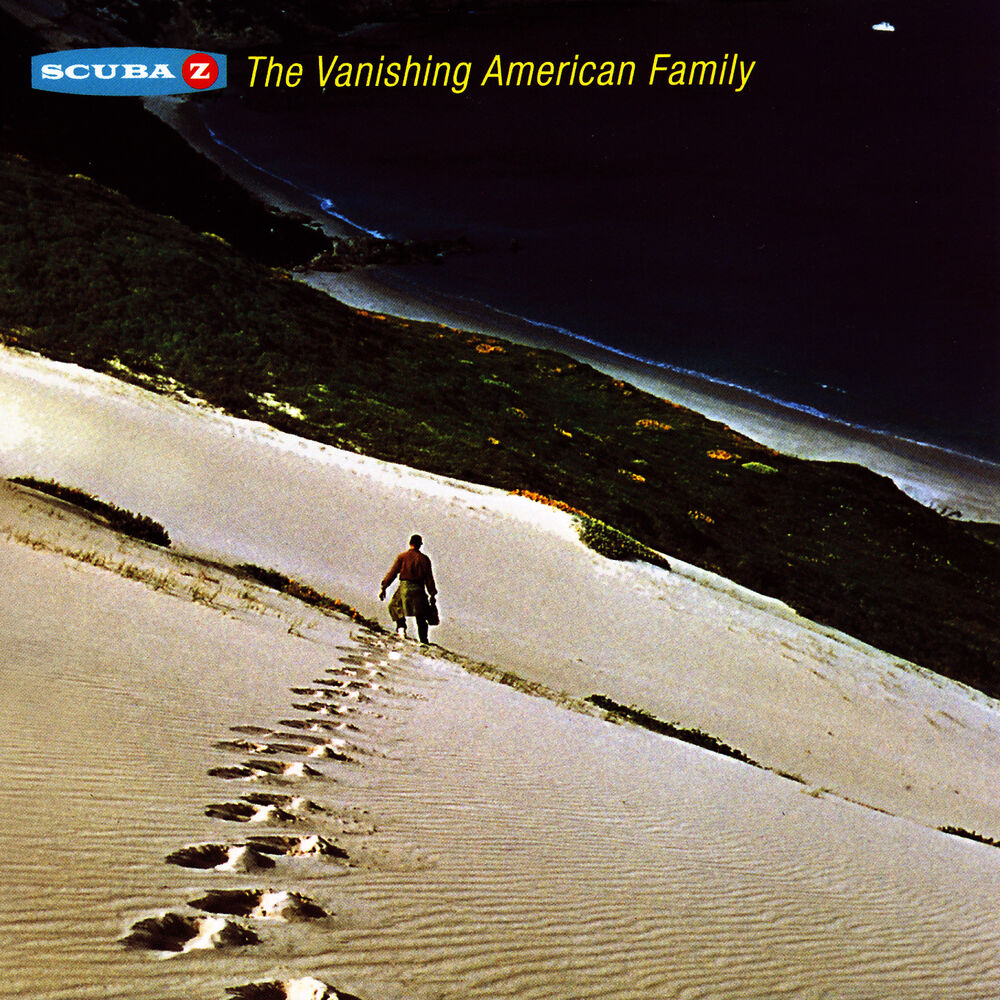 Picture of The Vanishing American Family