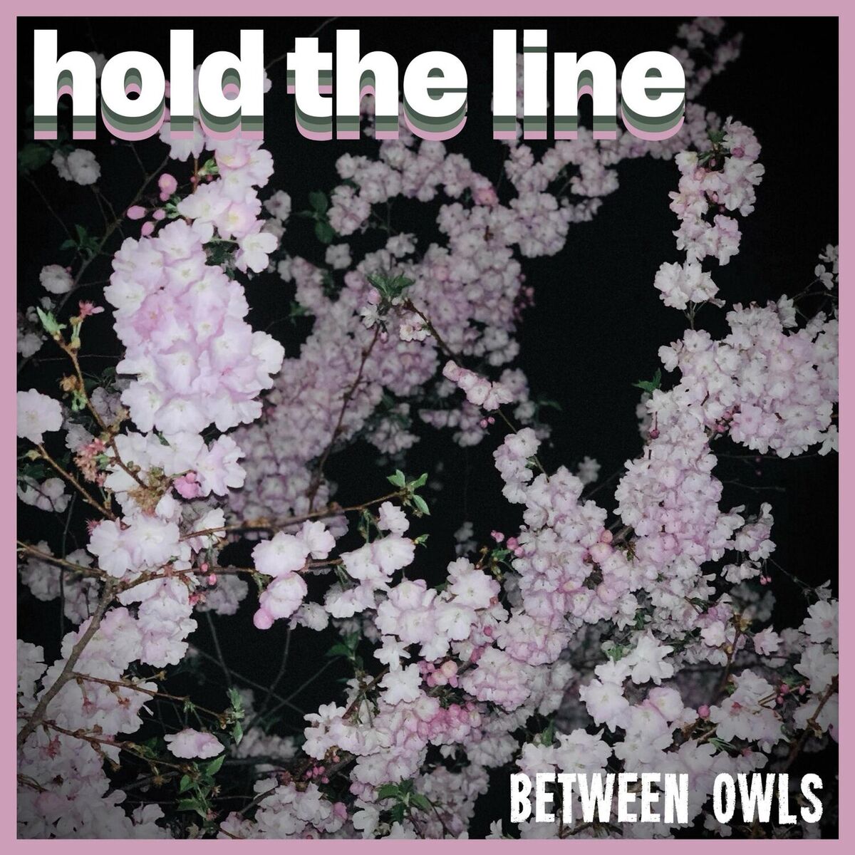 Album cover of Hold the Line