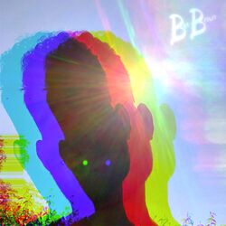 Cover of Sunshine Grooves