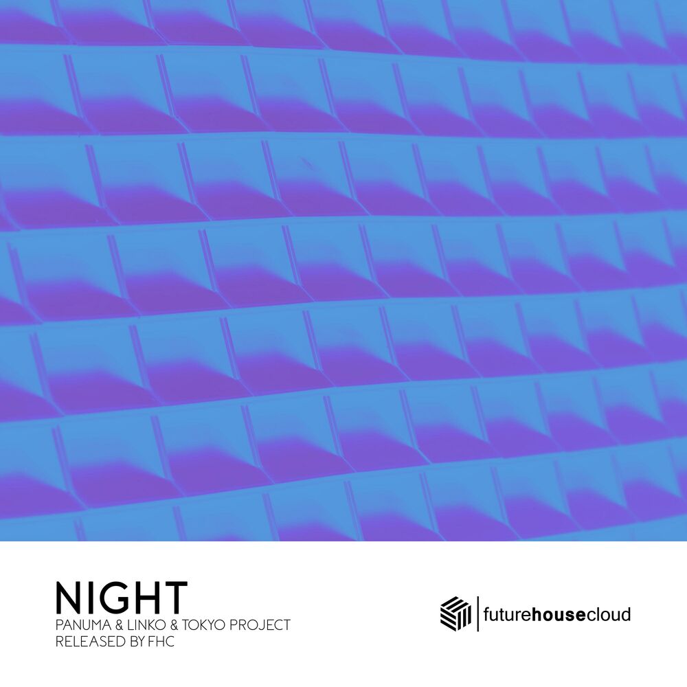 Picture of Night