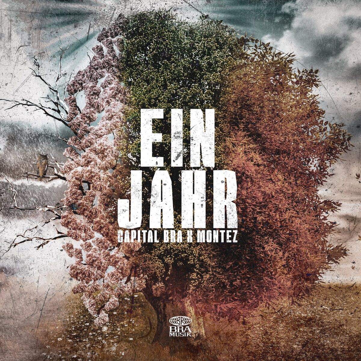 Album cover of Ein Jahr