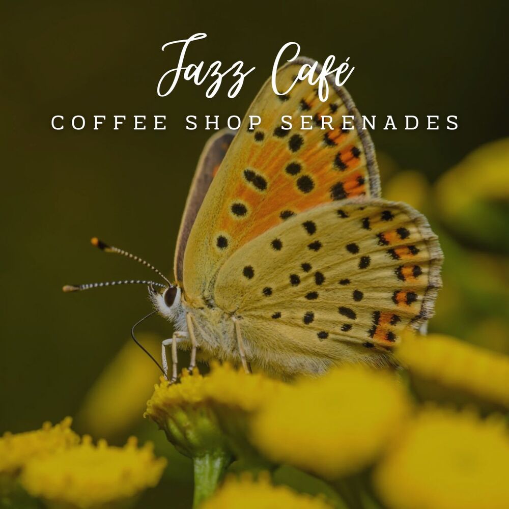 Picture of Serenity in Jazz: Café Lounge Relaxations