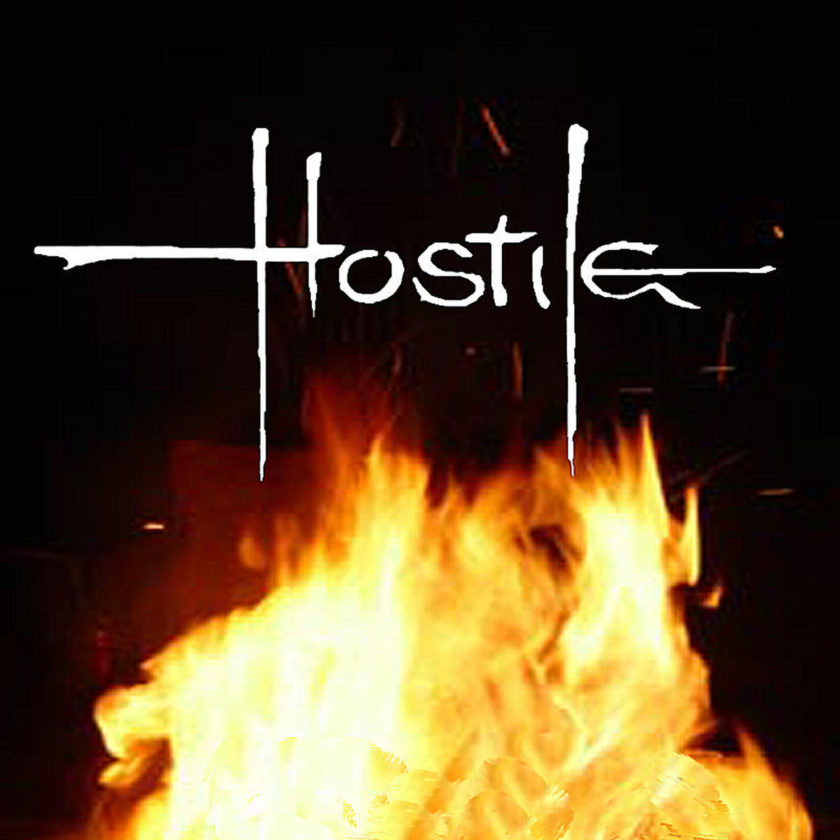 Album cover of Hostile