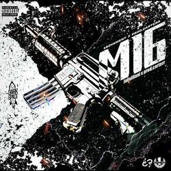 Cover of M16