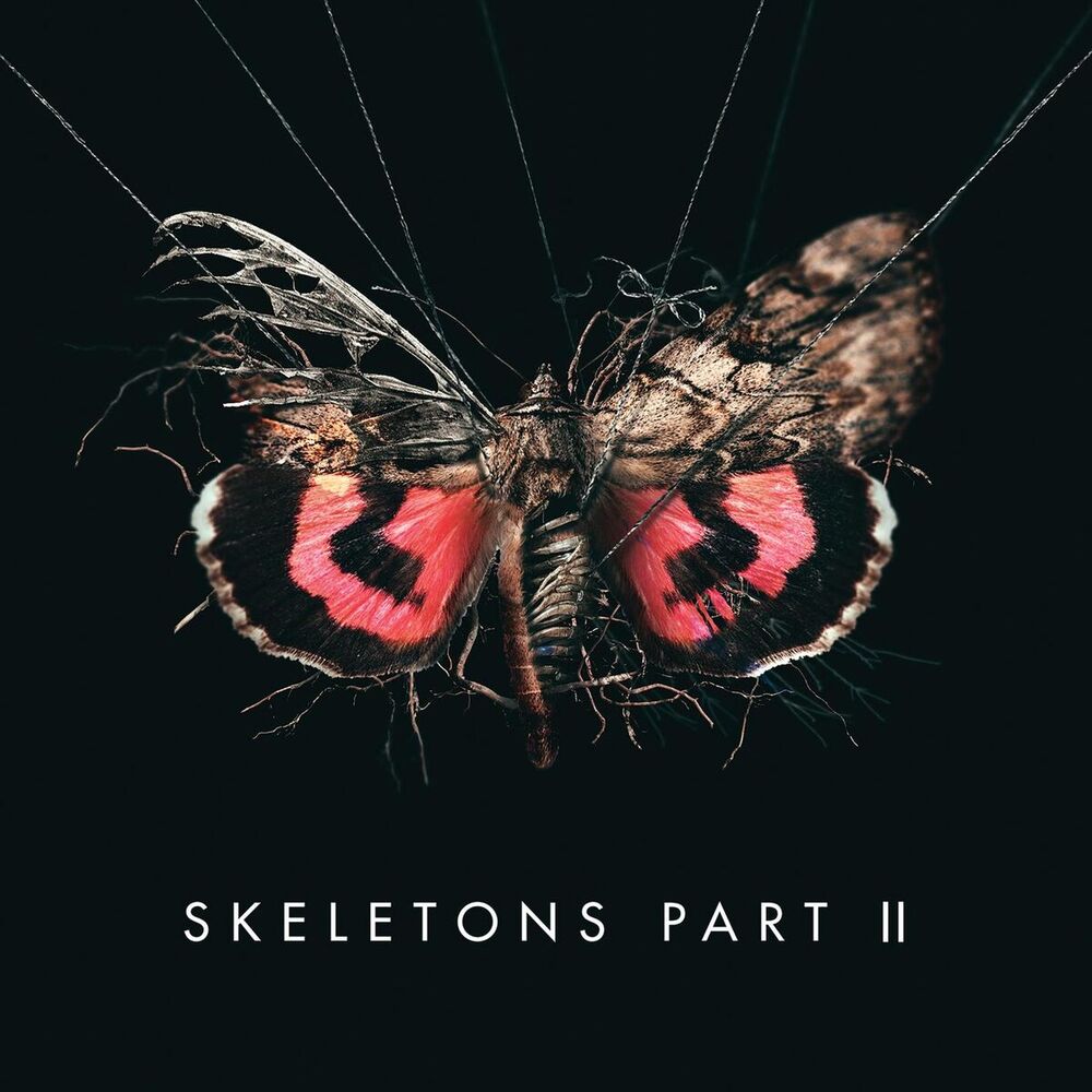 Picture of Skeletons: Part 2