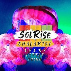 Cover of Every Little Thing