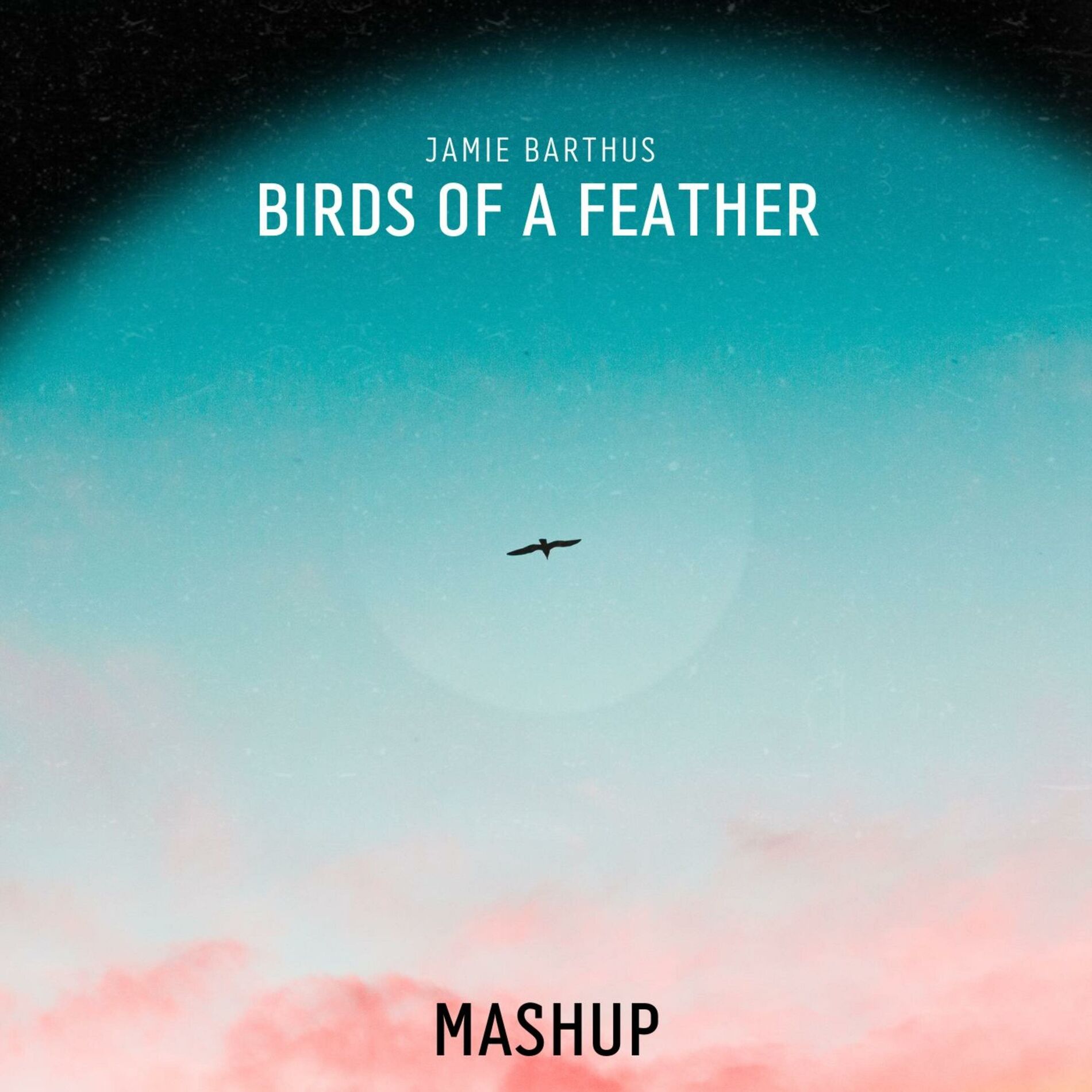 Album cover of Birds of a Mashup