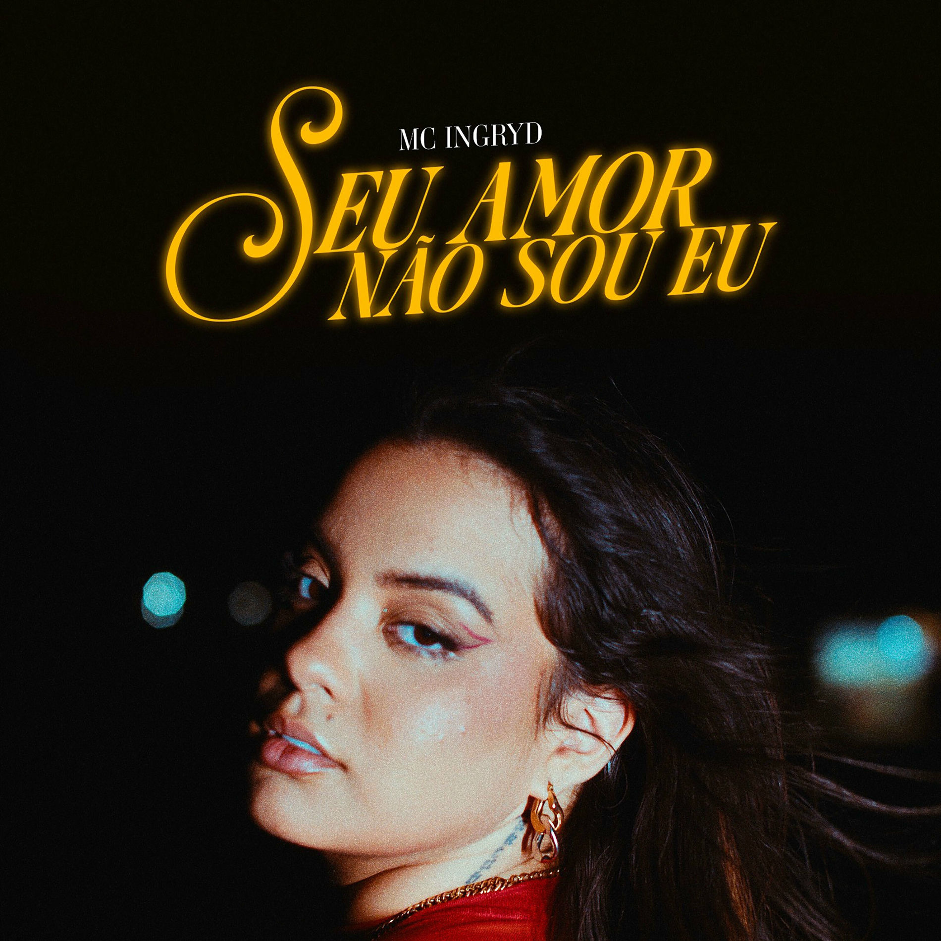 Album cover of Seu Amor Não Sou Eu