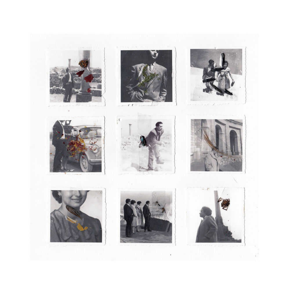 Picture of Humans Or Animals EP