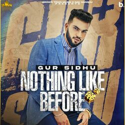 Cover of Nothing Like Before