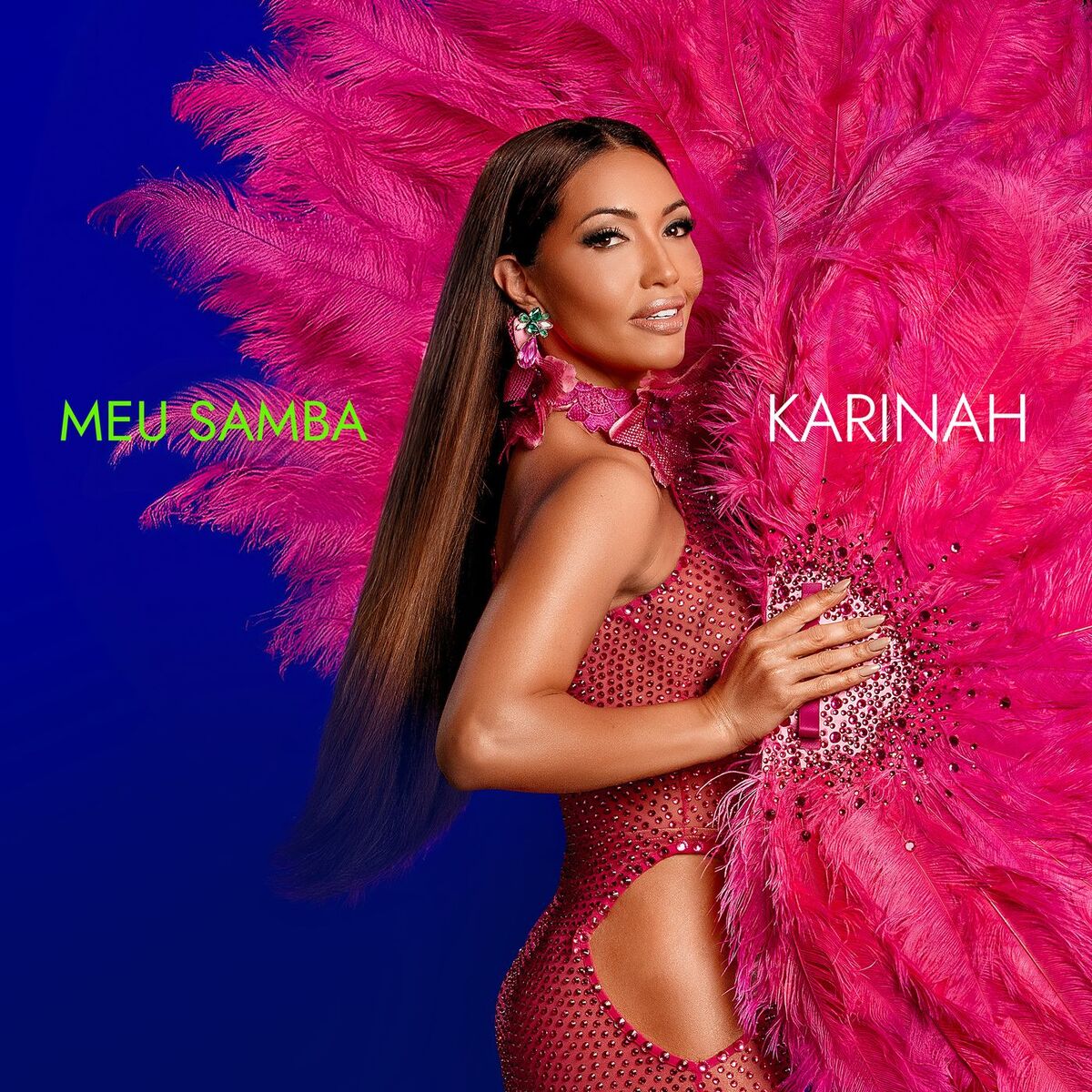 Album cover of Meu Samba