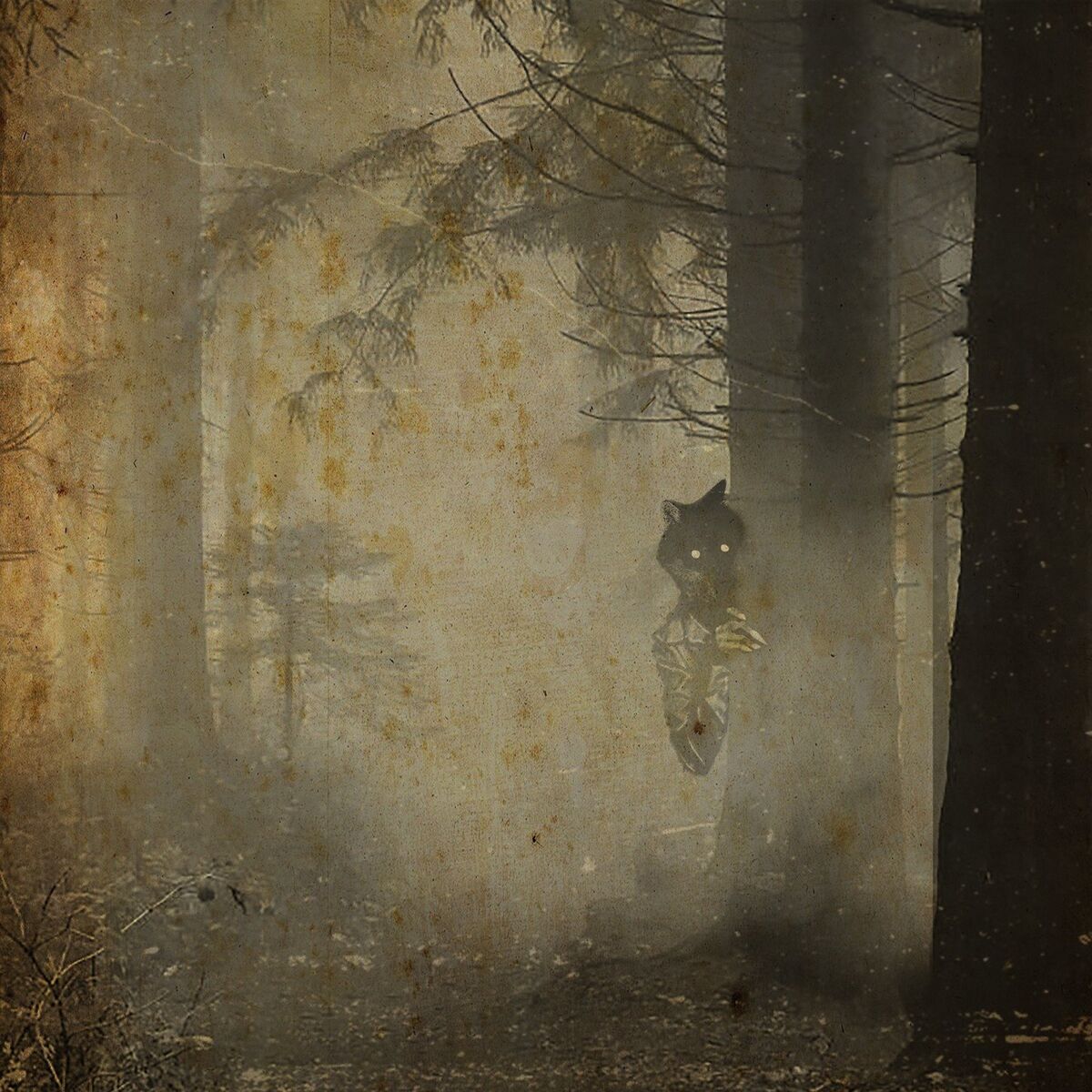 Album cover of Púca
