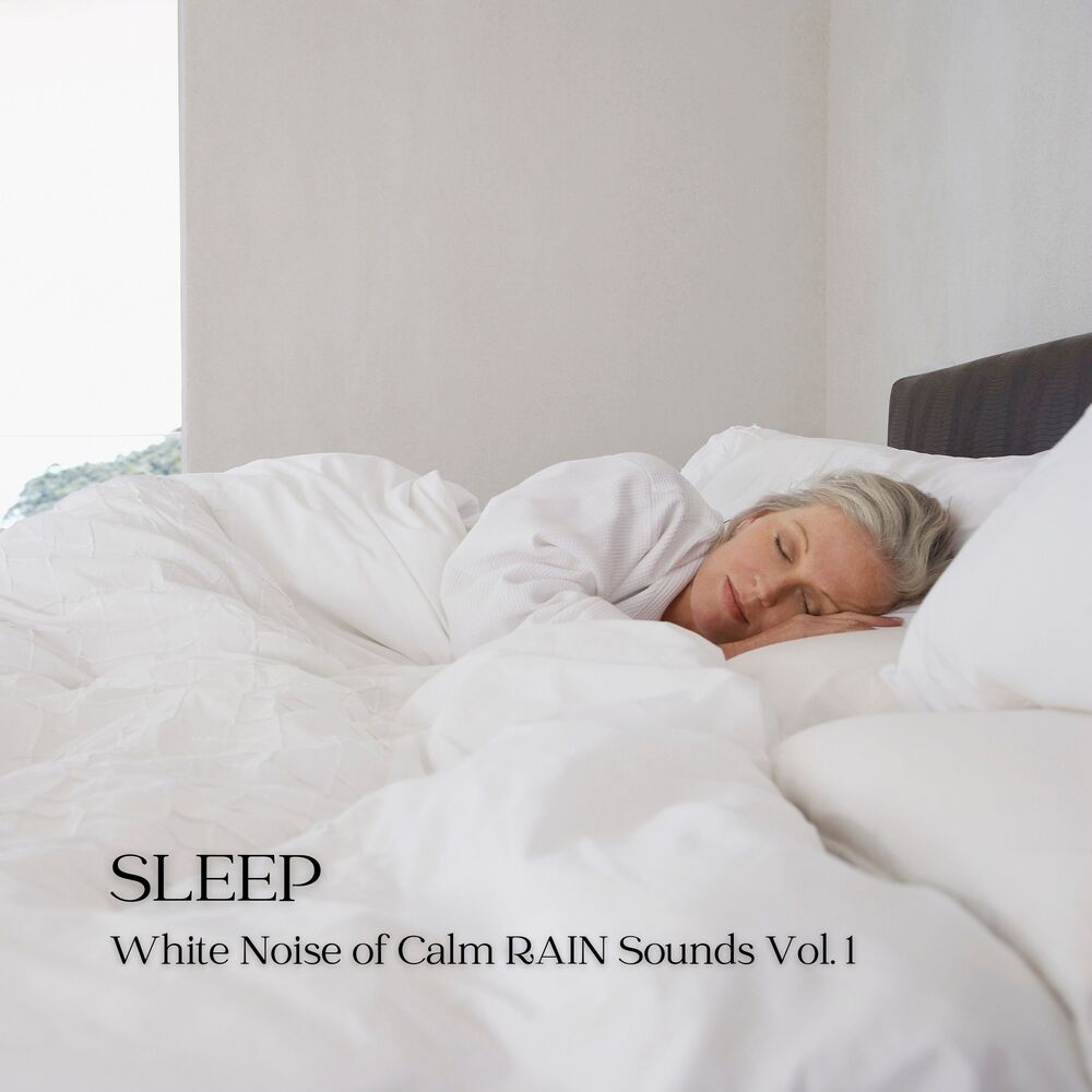 Picture of Sleep: White Noise of Calm Rain Sounds Vol. 1
