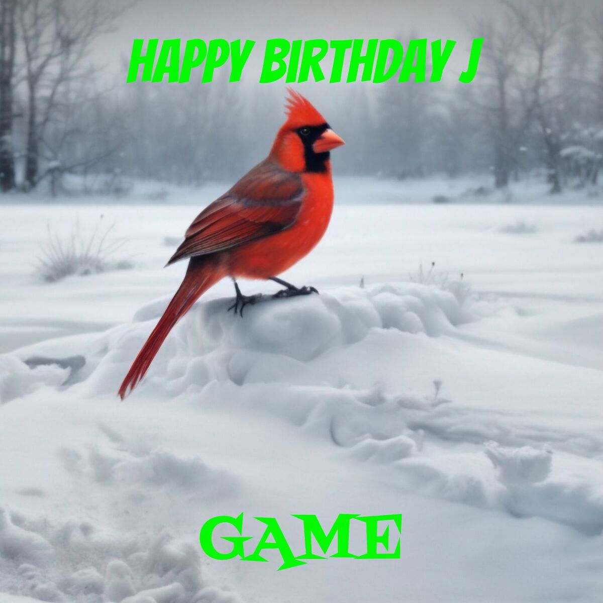 Album cover of Happy Birthday J