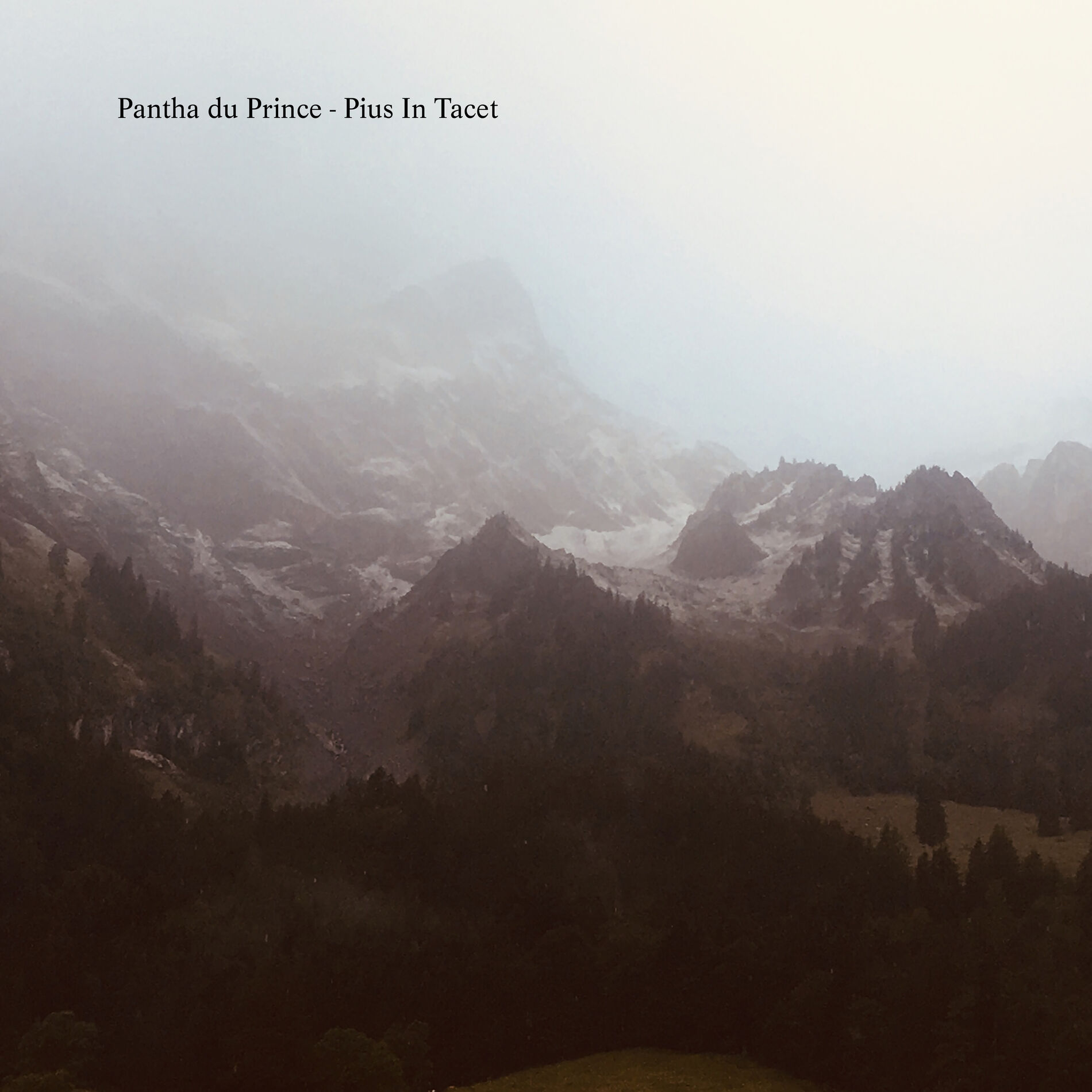 Album cover of Pius in Tacet