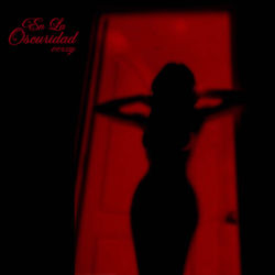 Cover of En La Oscuridad by undefined