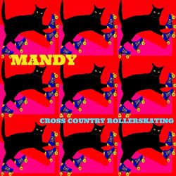 Cover of Cross Country Rollerskating