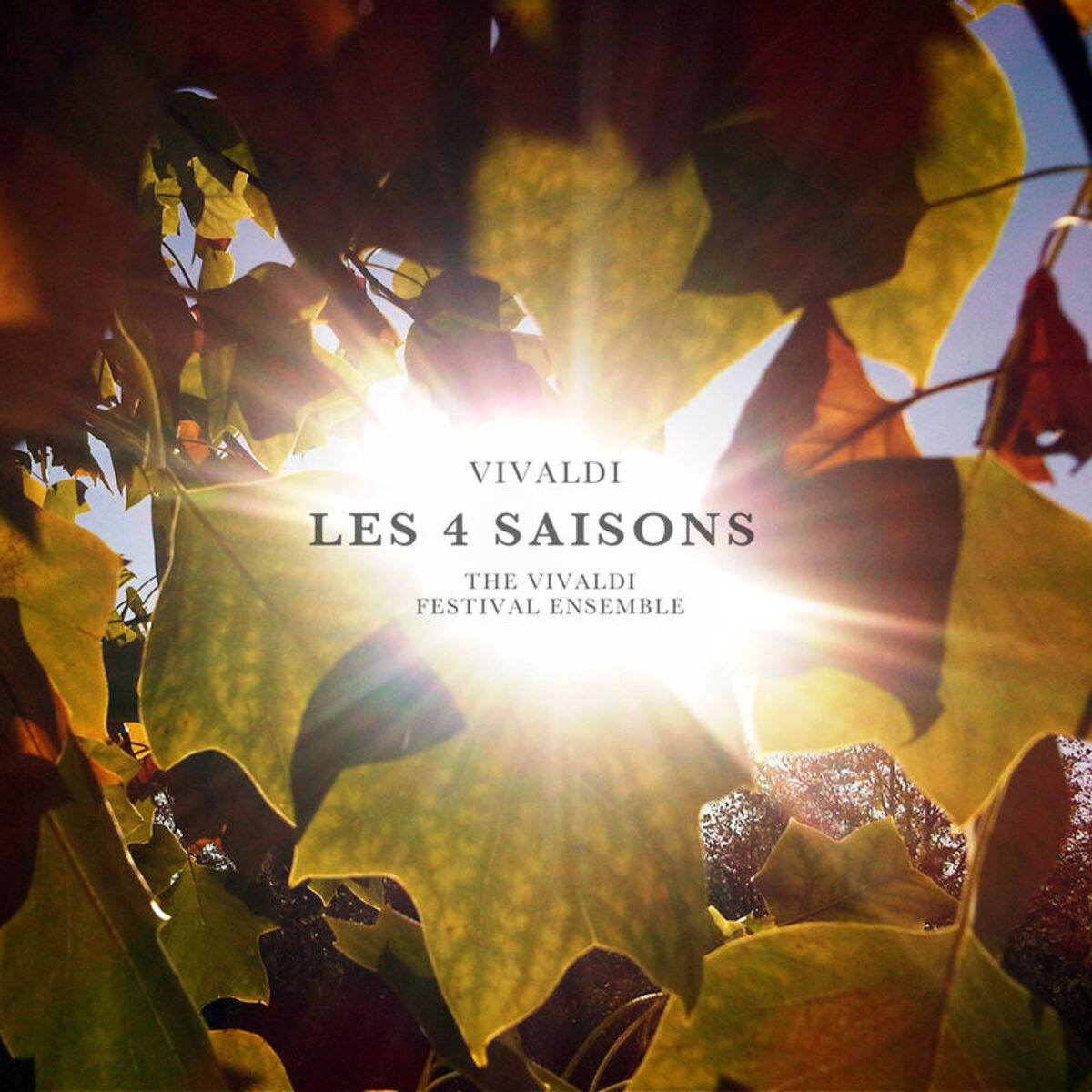Album cover of Concerto No. 4 in F Minor, Op. 8:I Allegro non molto 