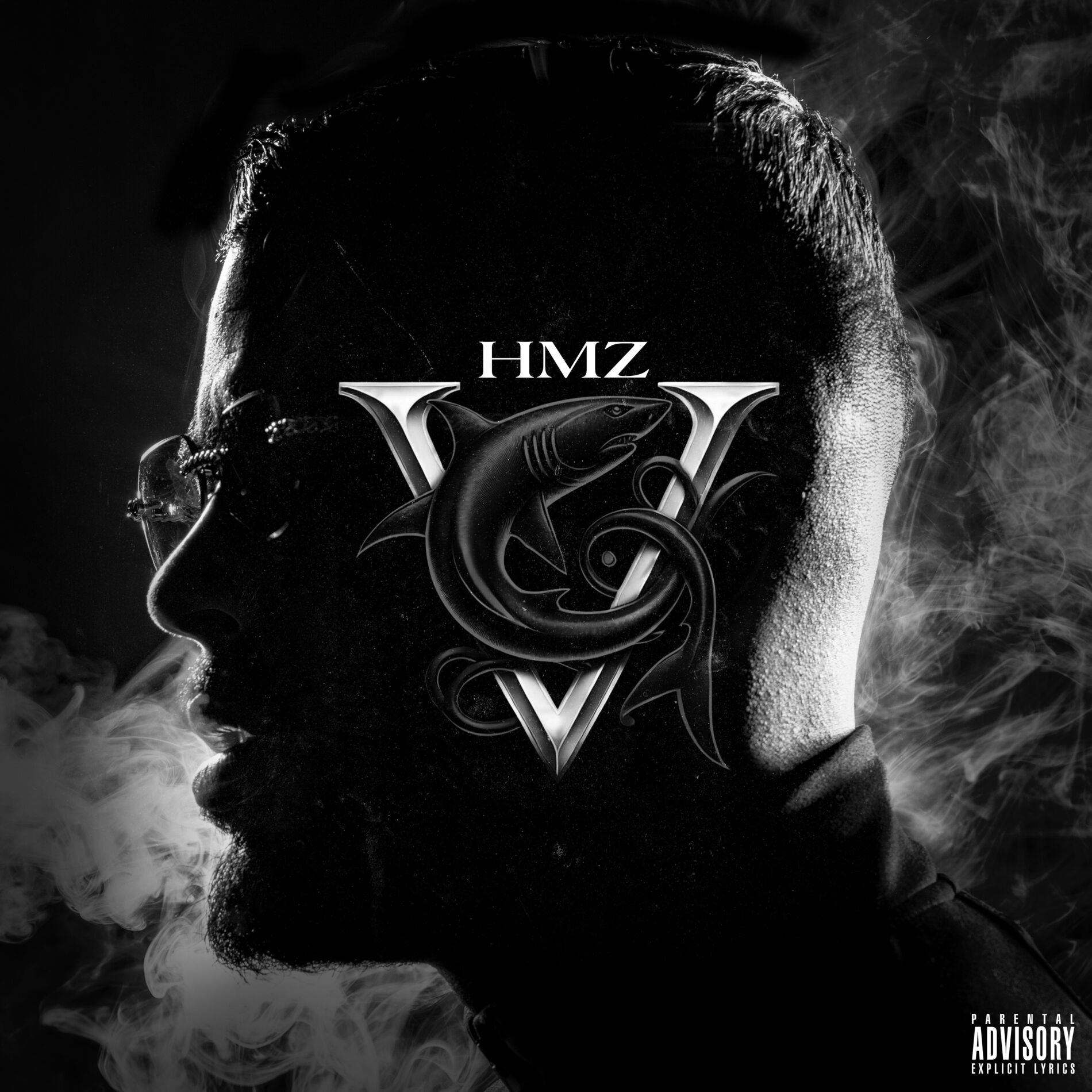 Album cover of V (freestyle)