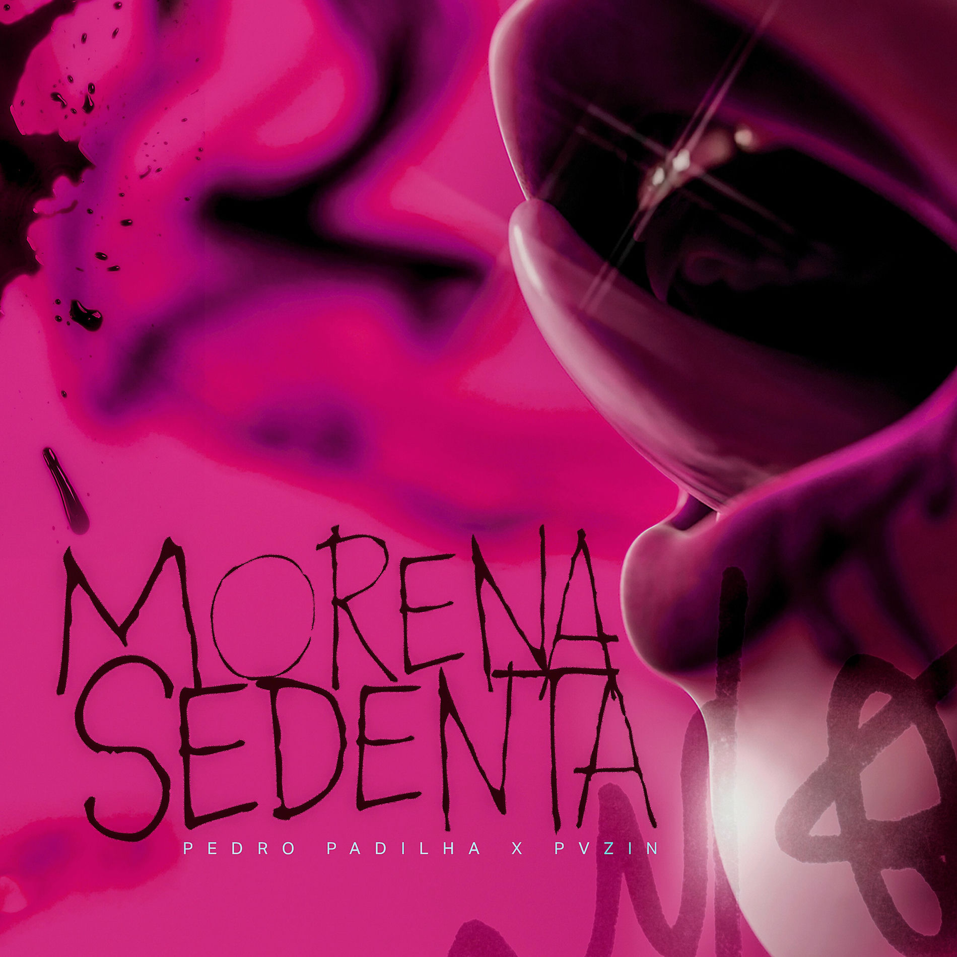 Album cover of Morena Sedenta