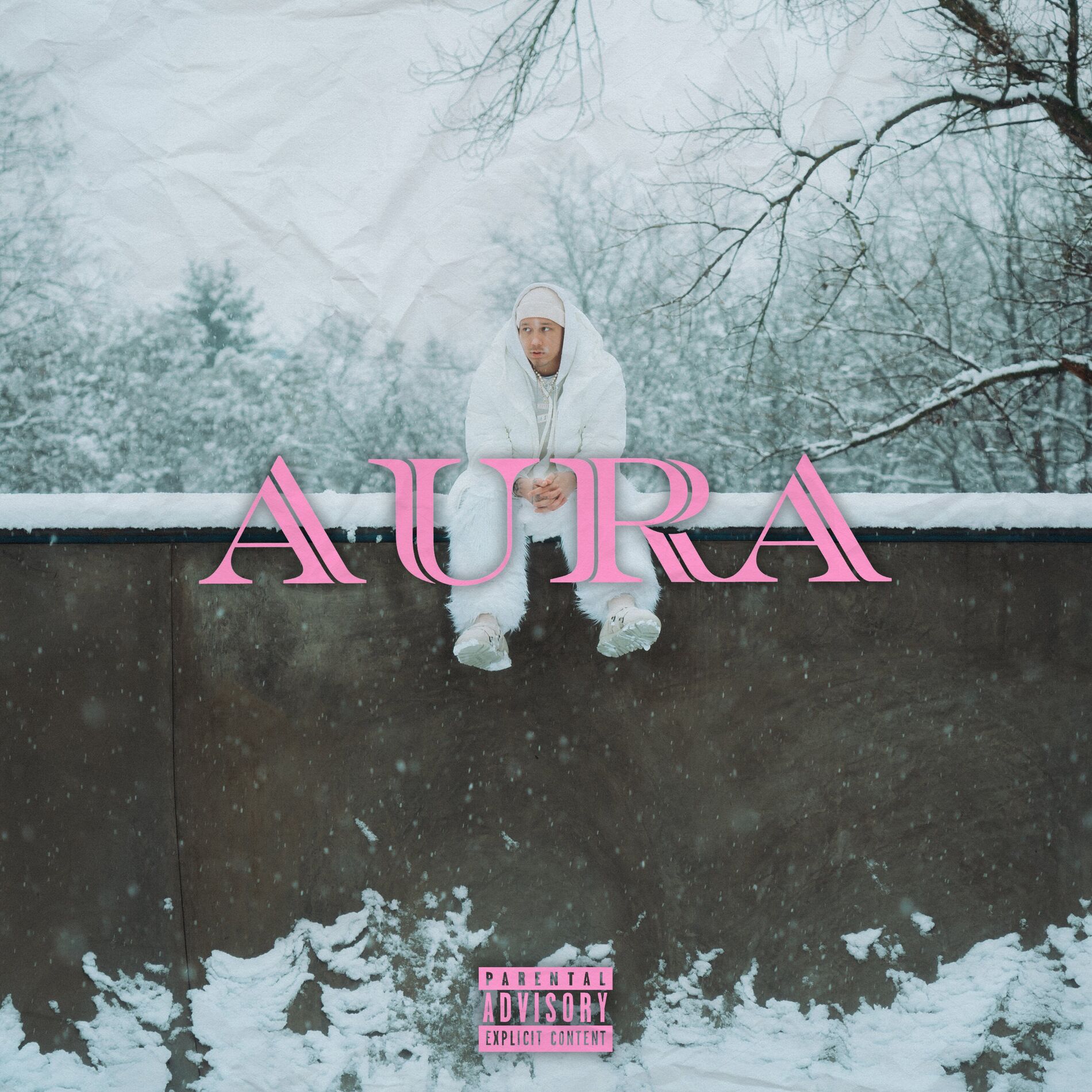 Album cover of AURA