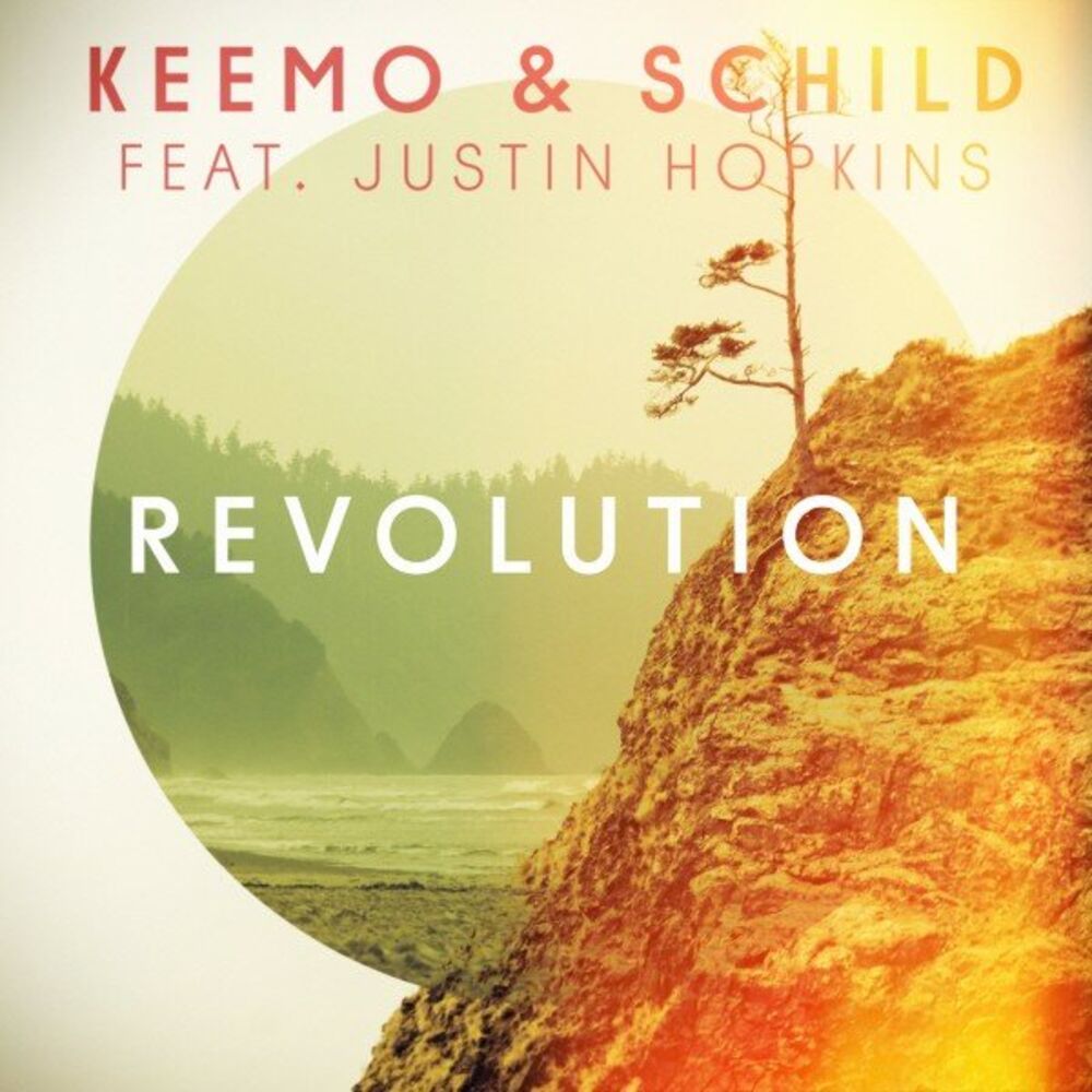Picture of Revolution