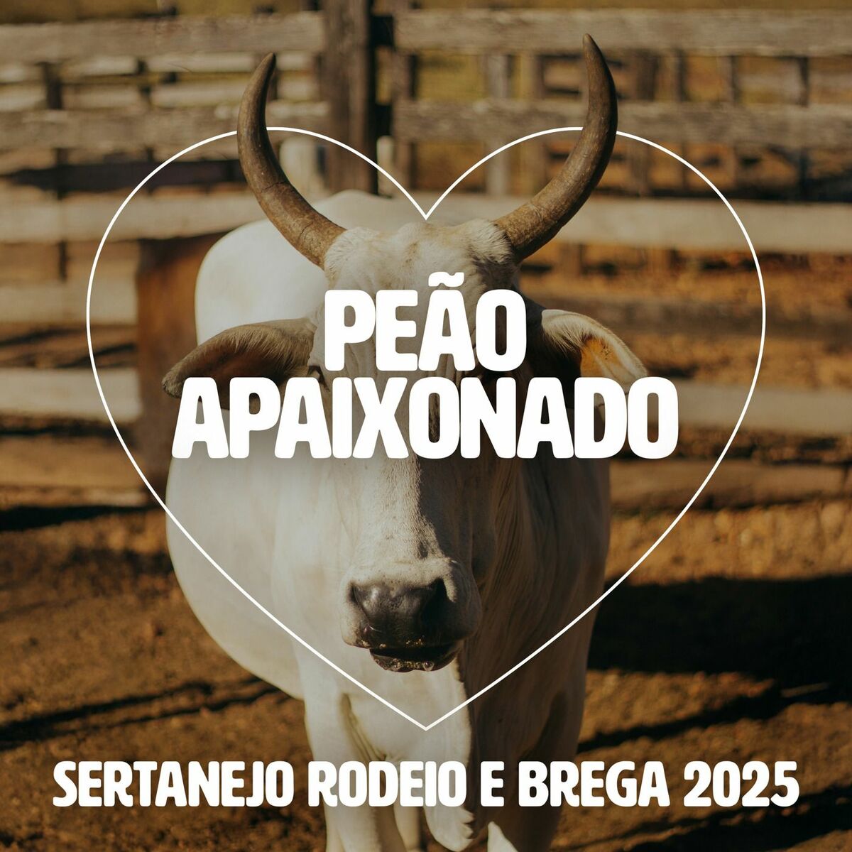 Album cover of Peão Apaixonado - Sertanejo Rodeio e Brega 2025
