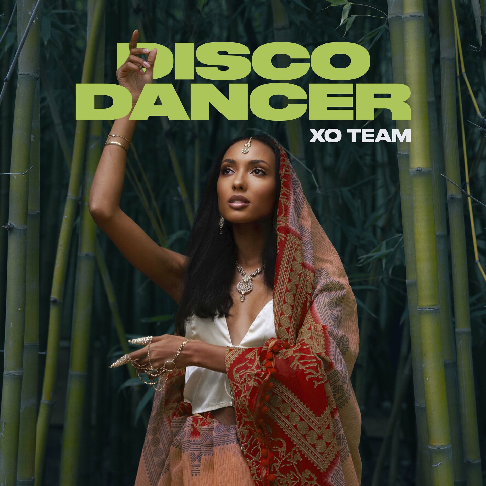 Album cover of Disco Dancer