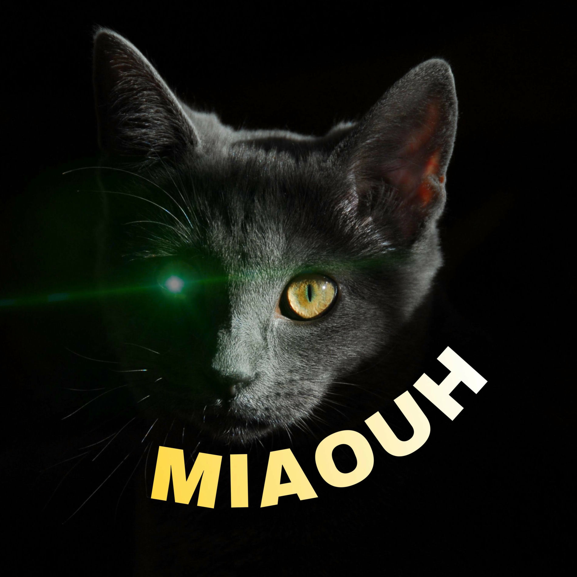 Album cover of MIAOUH