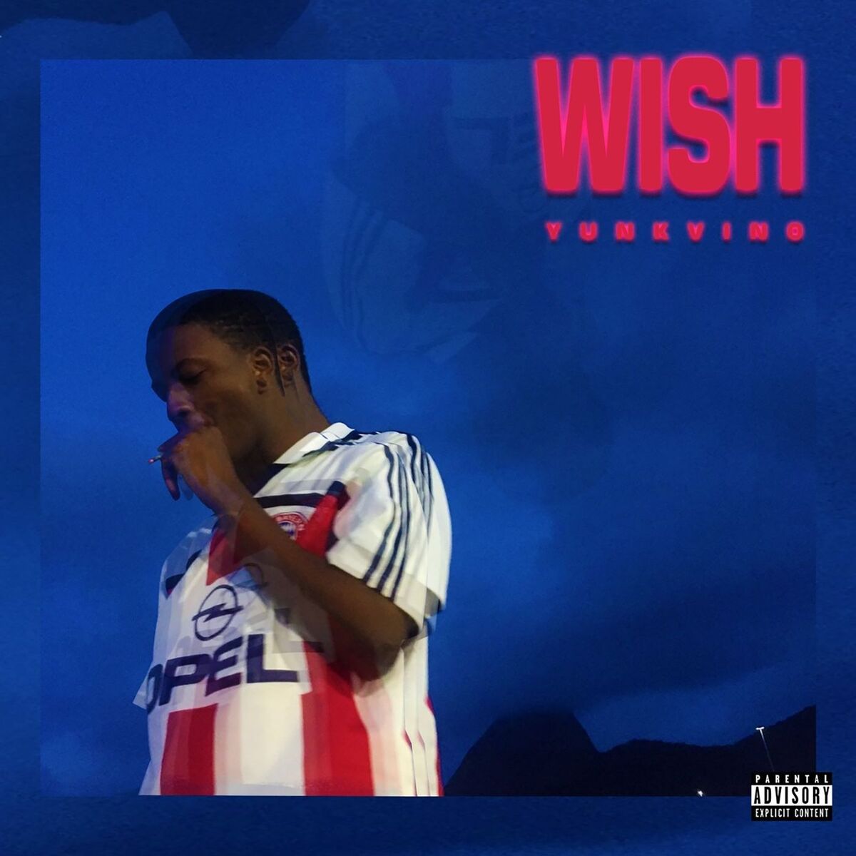 Album cover of Wish