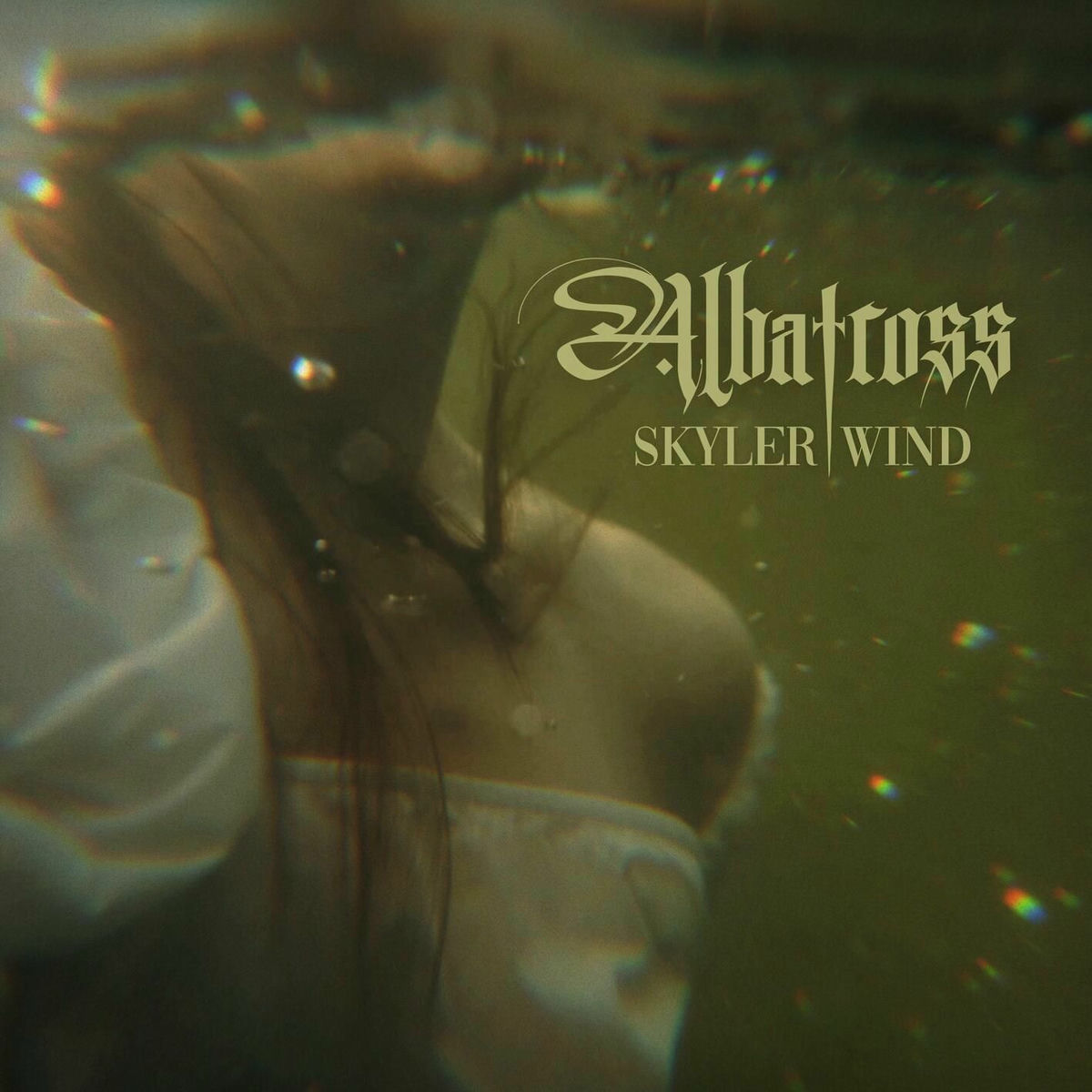 Album cover of ALBATROSS