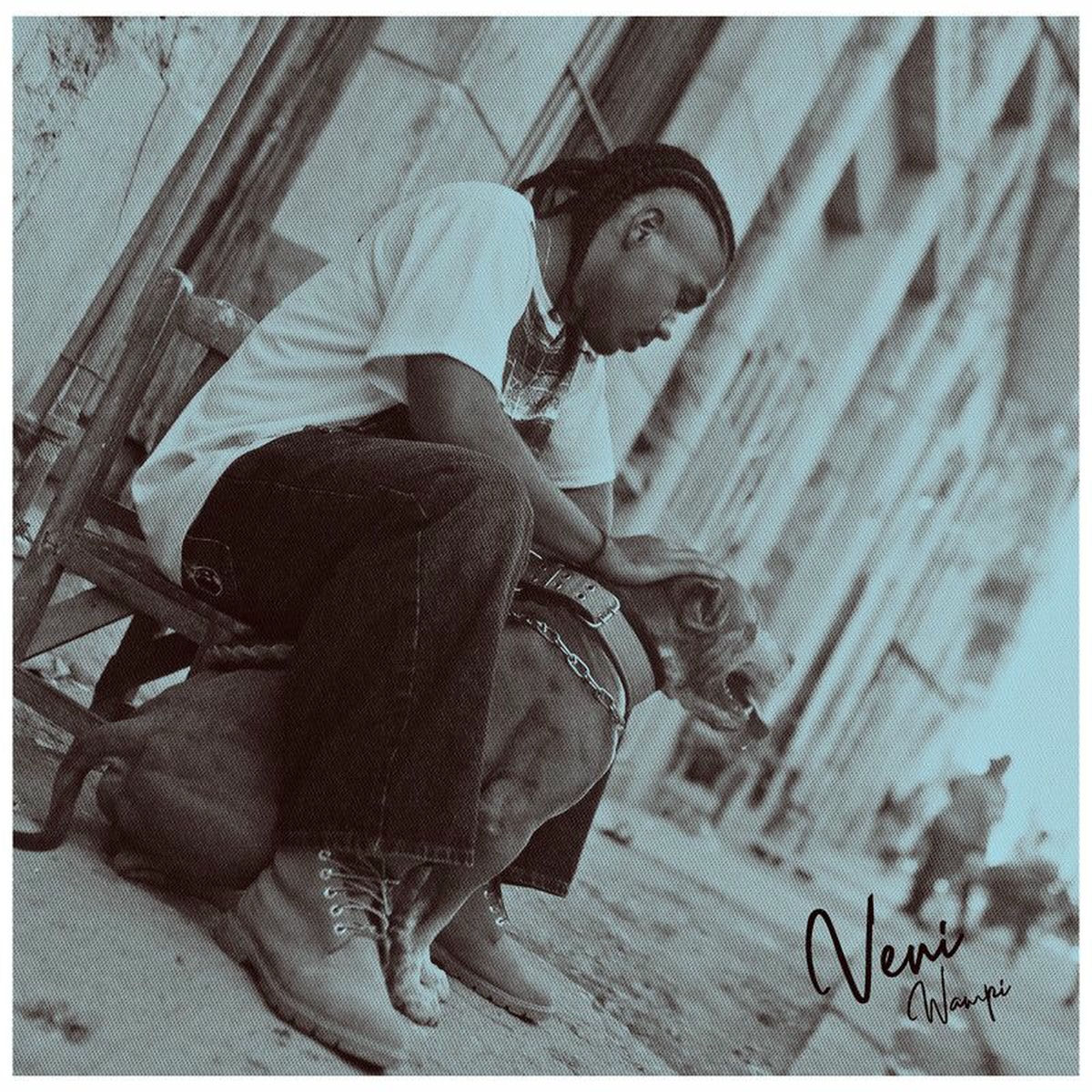 Album cover of Veni