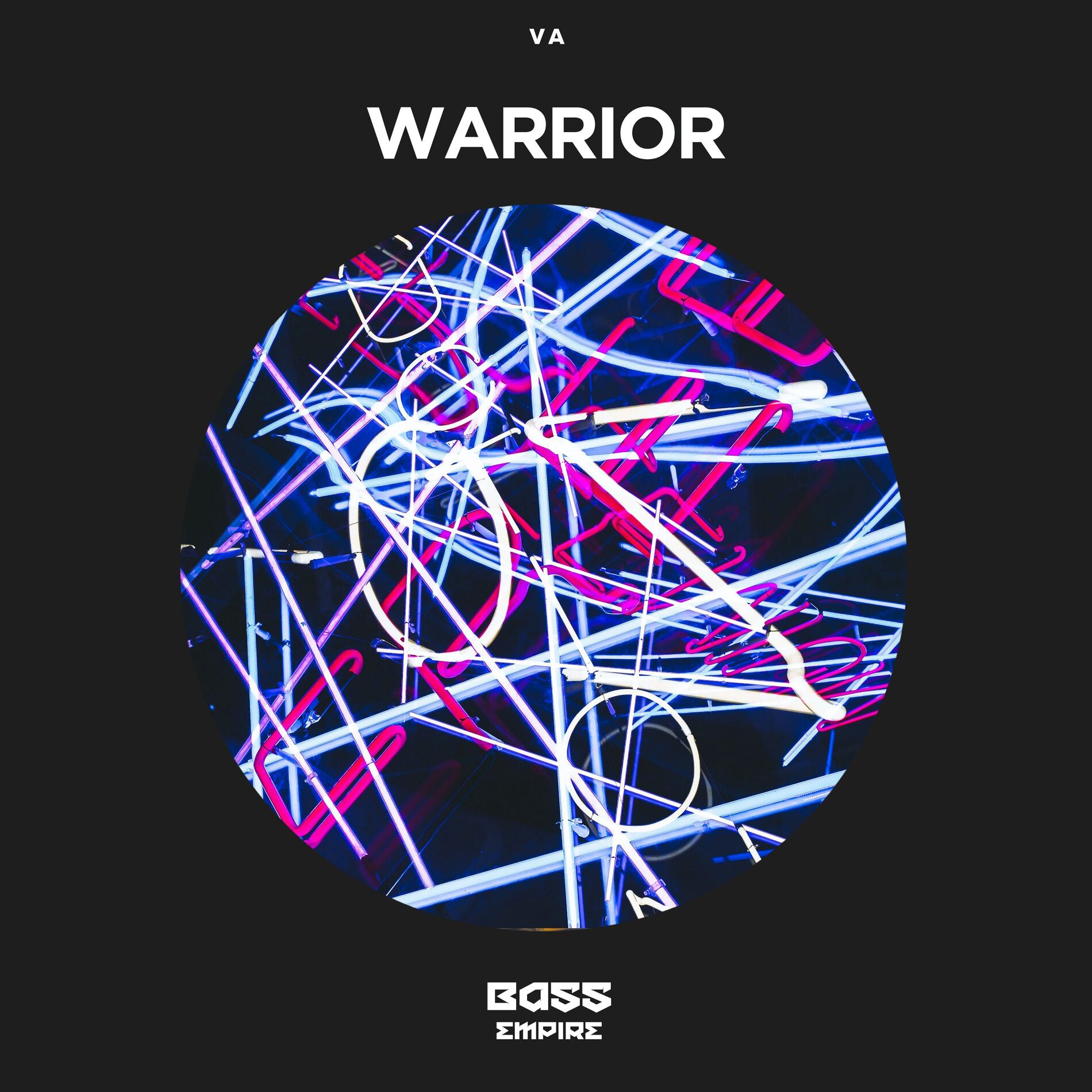 Album cover of Warrior
