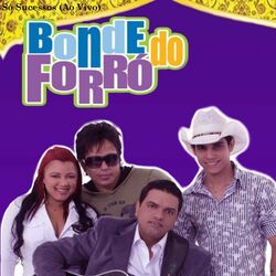 Cover of Só Sucessos (Ao Vivo)