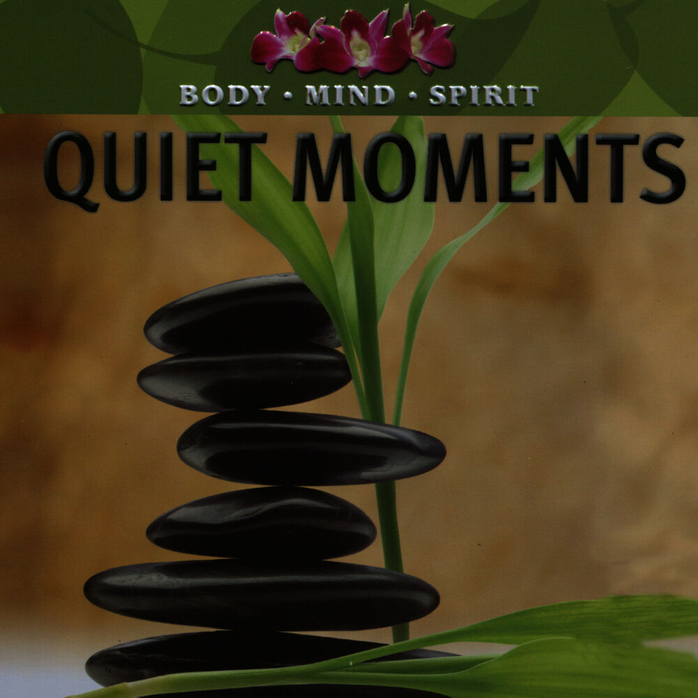 Picture of Quiet Moments