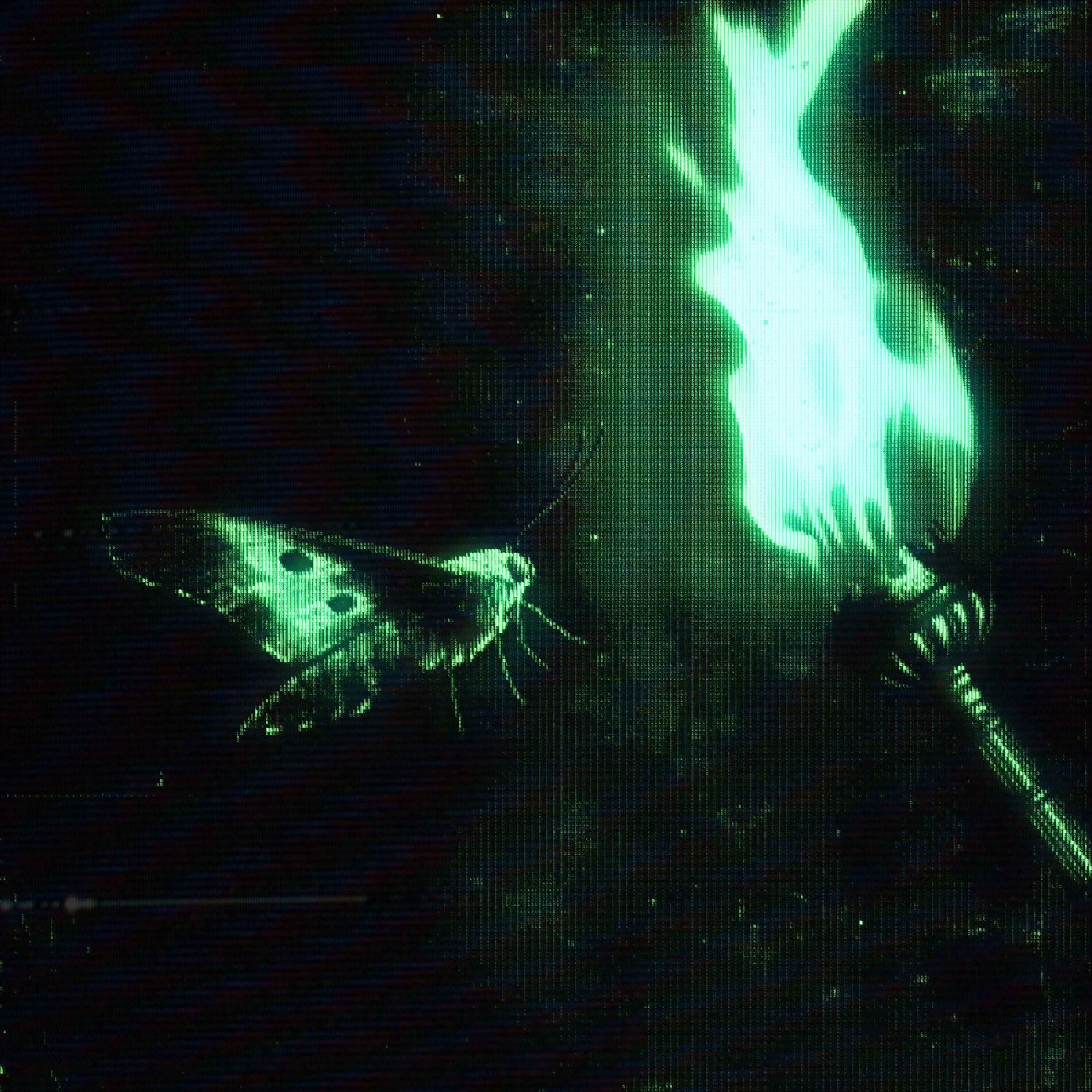 Album cover of Temptation