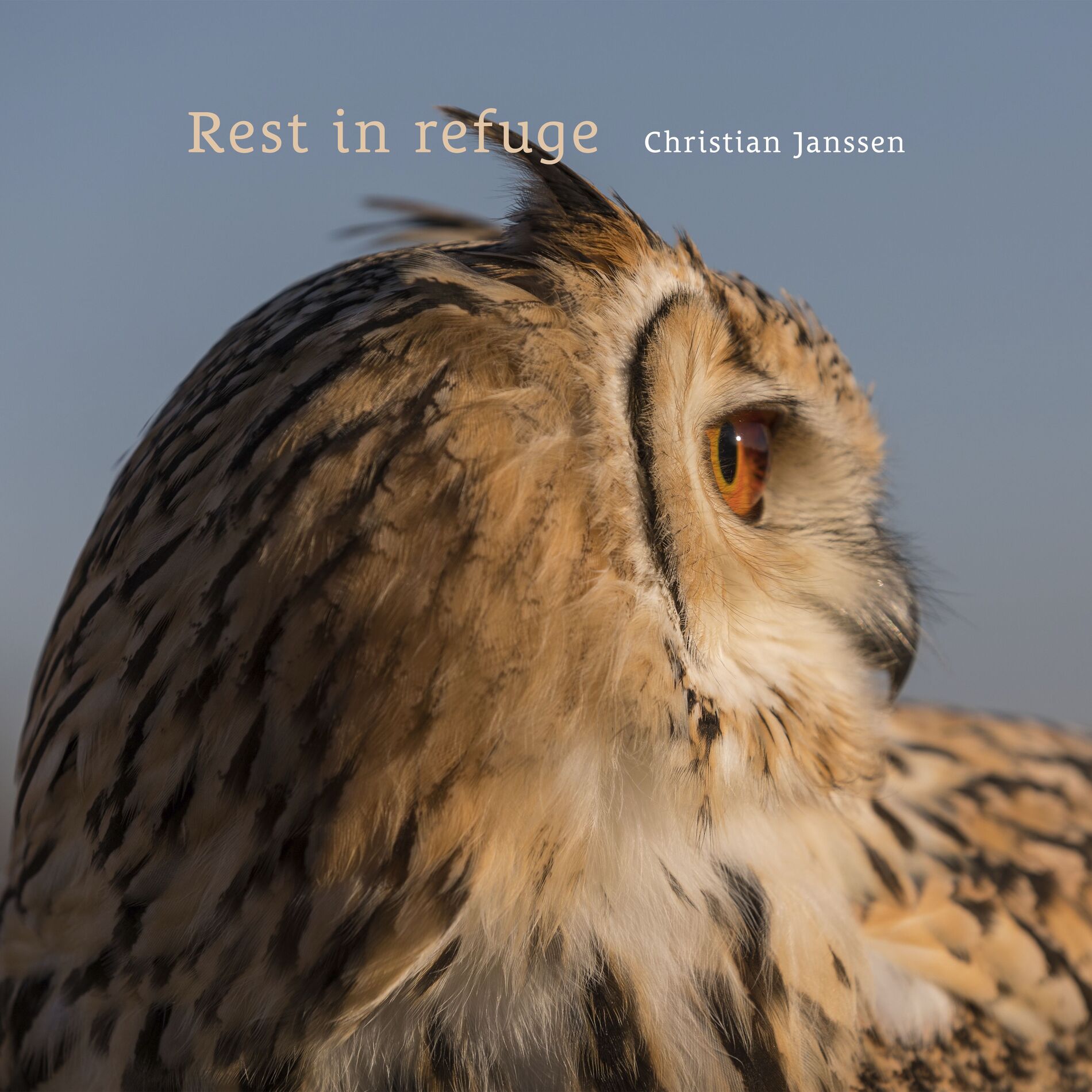 Album cover of Rest in refuge