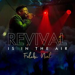 Cover of Revival Is In The Air (RIITA)