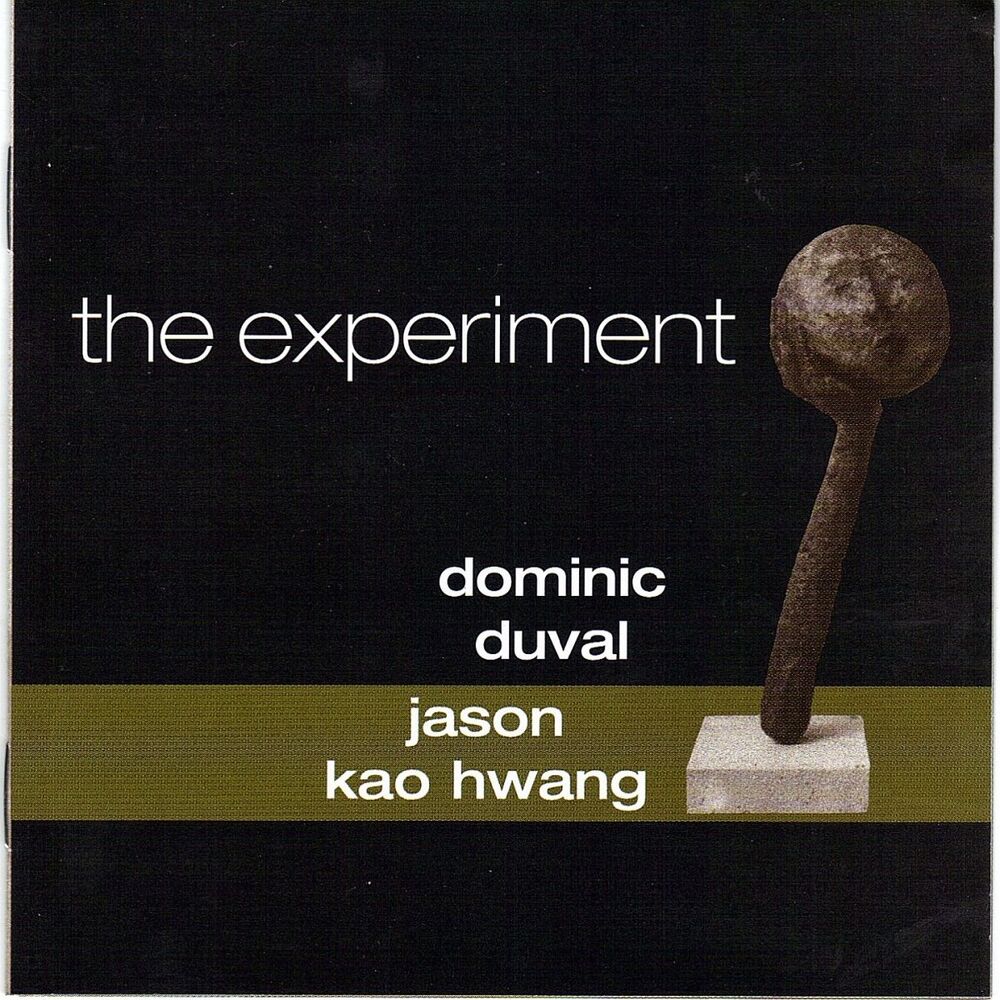 Picture of The Experiment