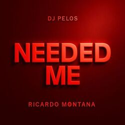 Cover of Needed Me