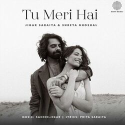 Cover of Tu Meri Hai