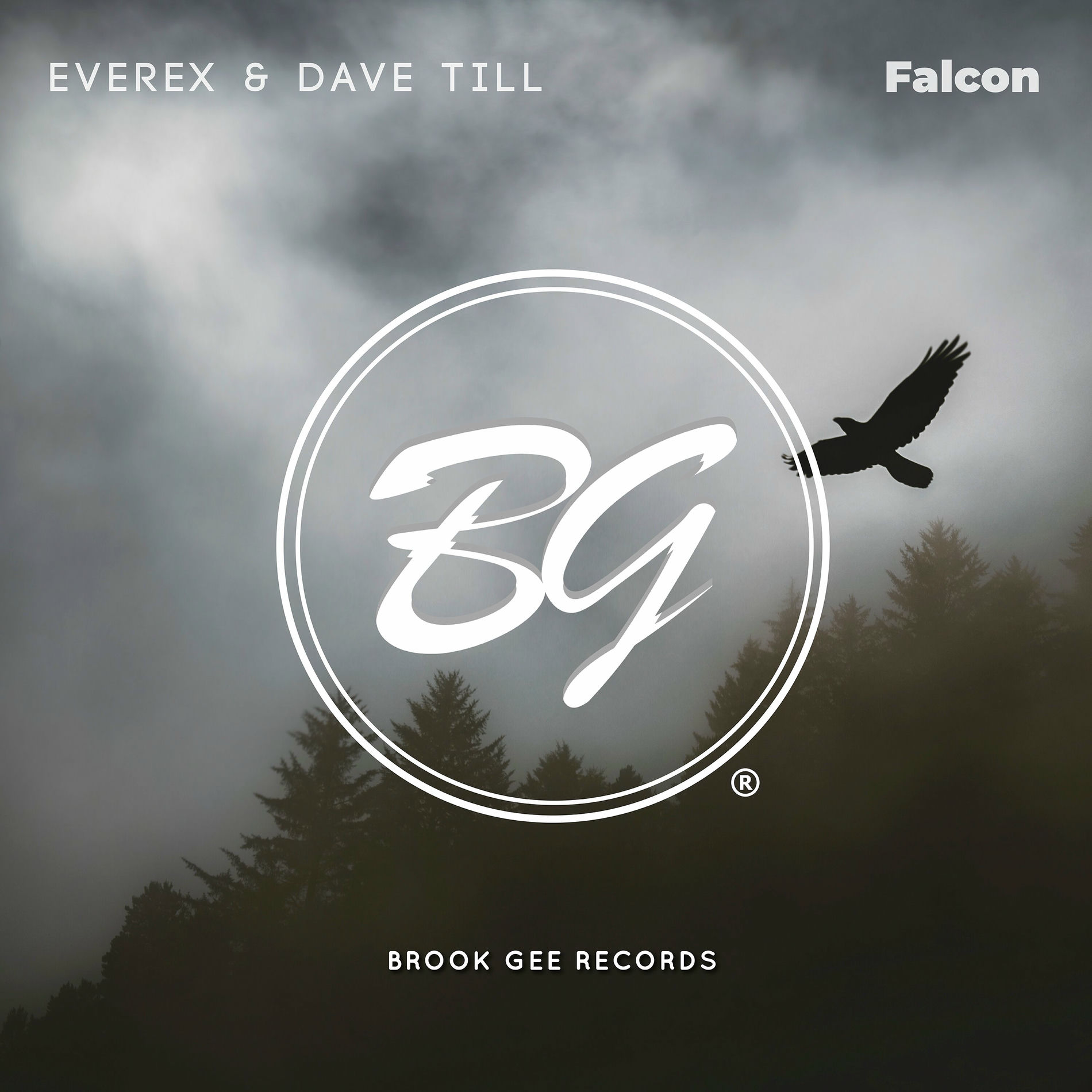 Album cover of Falcon