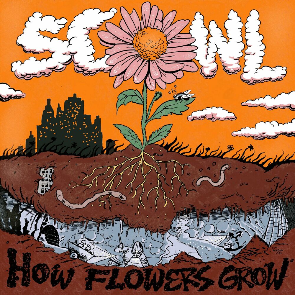 Picture of How Flowers Grow