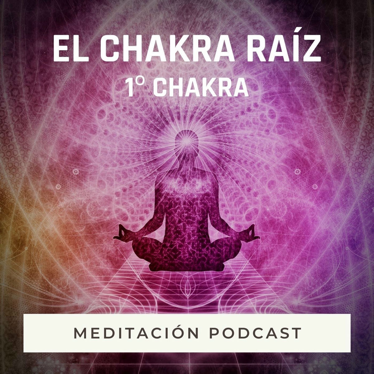 Album cover of Meditación Podcast: El Chakra Raíz (1º Chakra)