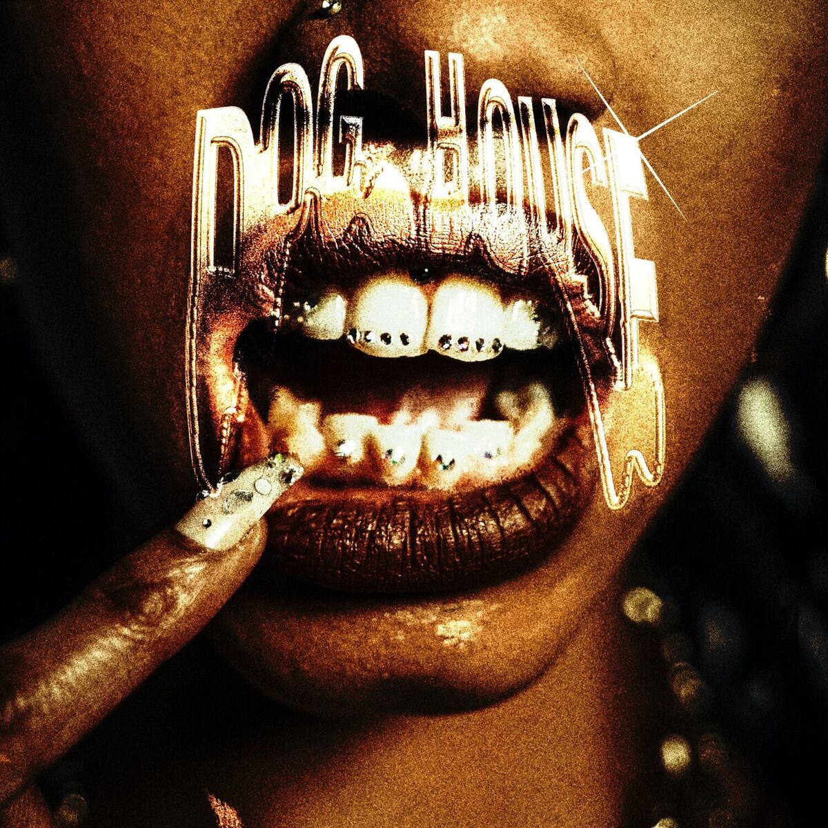 Album cover of DOGHOUSE
