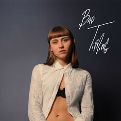 Cover of Bad Timing