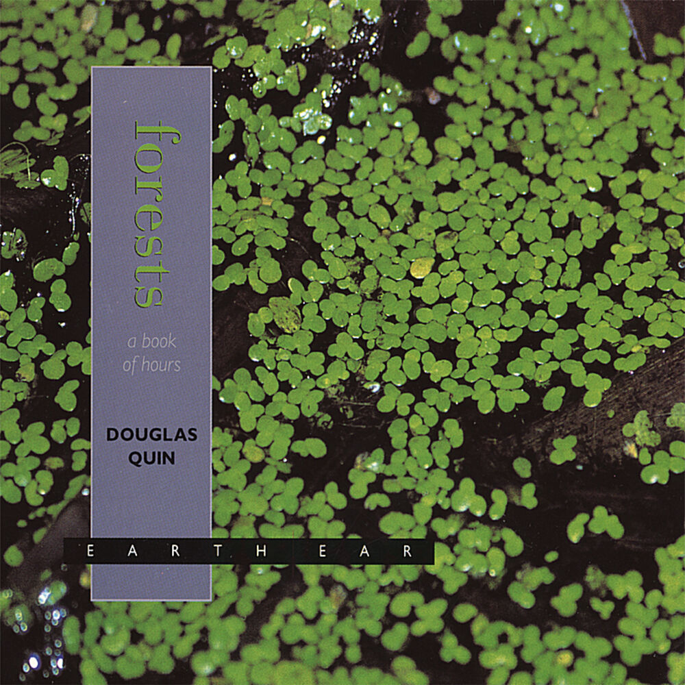 Picture of Forests: a Book of Hours