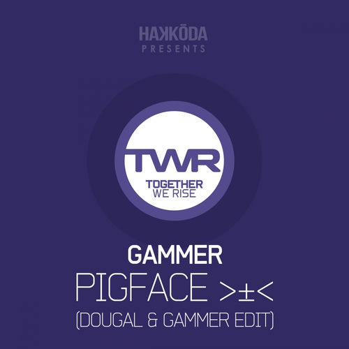 Pigface - Dougal & Gammer Edit by Gammer - 170 BPM
